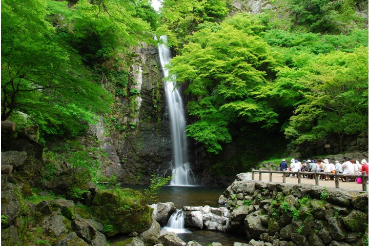 明治の森箕面国定公園 新緑カーニバル2025